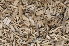 biomass boilers Alvescot